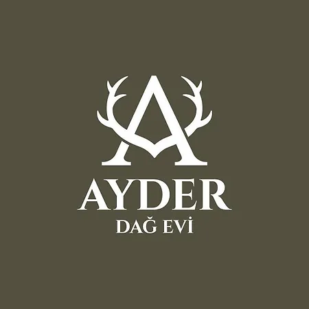 Dag Evi *