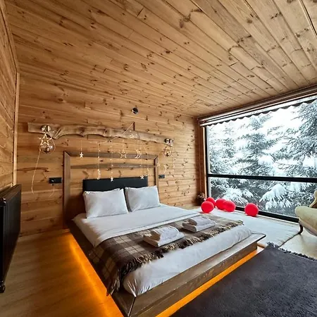 Dag Evi